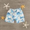Blue Dinosaur Swim Trunks -Children's boutique clothing IMG 1460 Edit