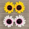 Daisy Sunnies 2 Daisy Sunnies -Children's boutique clothing IMG 4962 Edit