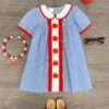 Blue Gingham Apple Collar Dress -Children's boutique clothing blue gingham apple collar dress dress sparkle in pink 29197743390794